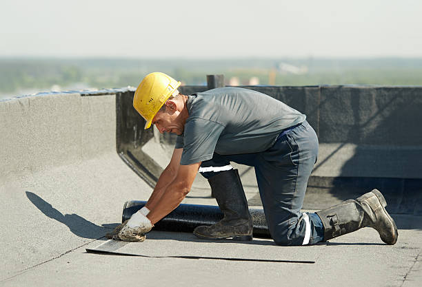 Best Insulation Installation Services in Odenville, AL